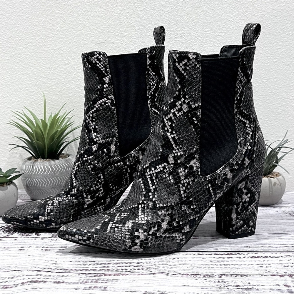 Steve Madden ankle booties snake print